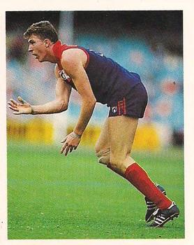 1993 Select AFL Stickers #165 Jim Stynes Front